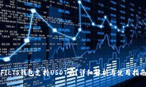 FILTS钱包支持USDT吗？详细解析与使用指南