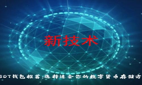USDT钱包推荐：选择适合你的数字货币存储方案