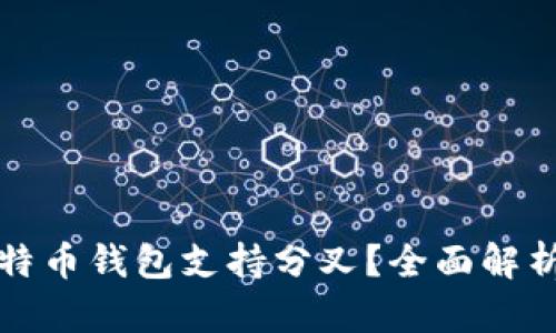 哪个比特币钱包支持分叉？全面解析与推荐