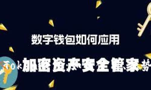 ziaoti深入探讨TT Token钱包：如何使用、优势以及常见问题解答