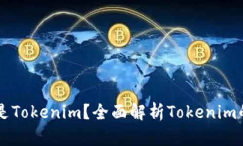 ### 什么是Tokenim？全面解析Tokenim的概念与应用