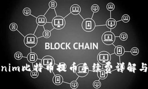 Tokenim比特币提币手续费详解与建议