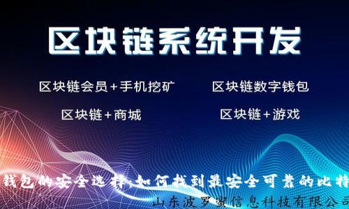 比特币钱包的安全选择：如何找到最安全可靠的比特币钱包