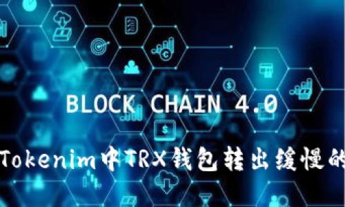 解决Tokenim中TRX钱包转出缓慢的问题