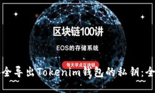 如何安全导出Tokenim钱包的私钥：全面指南