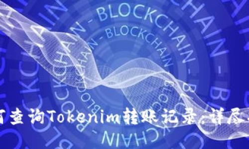 如何查询Tokenim转账记录：详尽指南