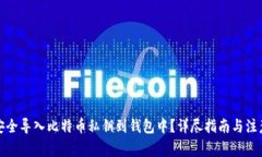 如何安全导入比特币私钥到钱包中？详尽指南与