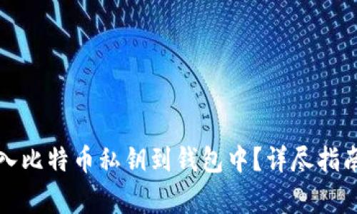 如何安全导入比特币私钥到钱包中？详尽指南与注意事项