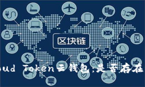 深入解析Cloud Token云钱包：是否存在资金盘风险？