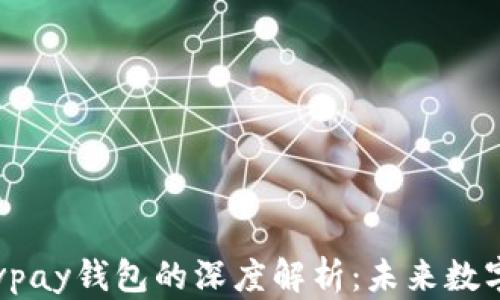 
比特币与速通宝vpay钱包的深度解析：未来数字货币的比较分析