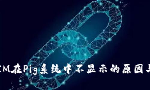 # TokenIM在Pig系统中不显示的原因与解决方案