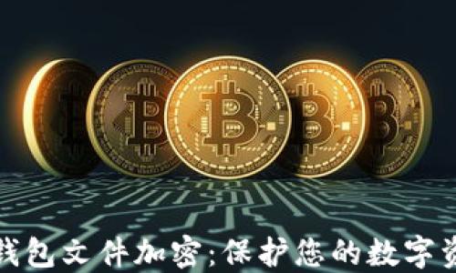 
比特币钱包文件加密：保护您的数字资产安全