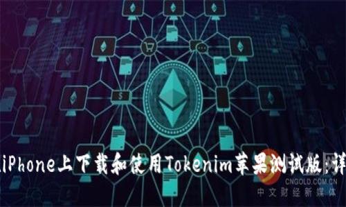 如何在iPhone上下载和使用Tokenim苹果测试版：详细指南
