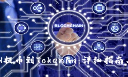 如何将BCH提币到Tokenim：详细指南与注意事项