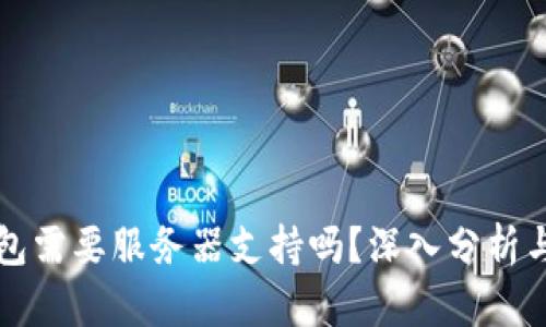比特币钱包需要服务器支持吗？深入分析与技术解读