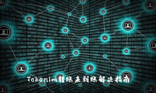 Tokenim转账未到账解决指南