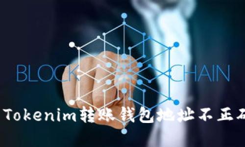 如何解决Tokenim转账钱包地址不正确的问题？