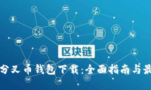 以太坊分叉币钱包下载：全面指南与最佳选择
