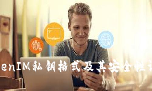 TokenIM私钥格式及其安全性详解