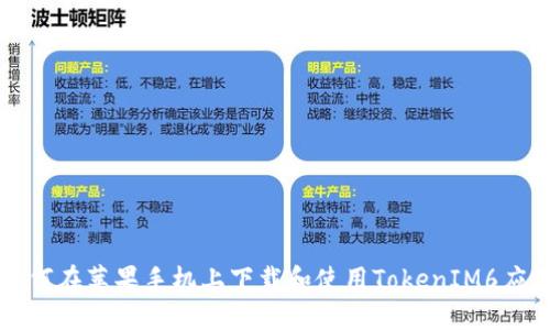 如何在苹果手机上下载和使用TokenIM6应用