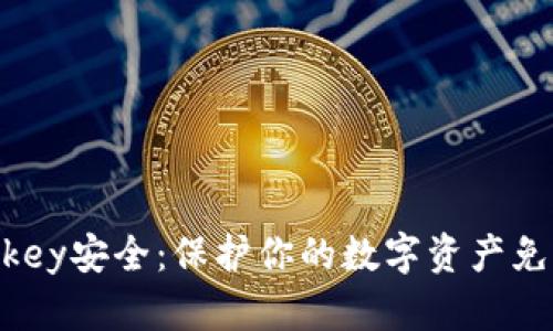 Tokenimimkey安全：保护你的数字资产免受网络威胁