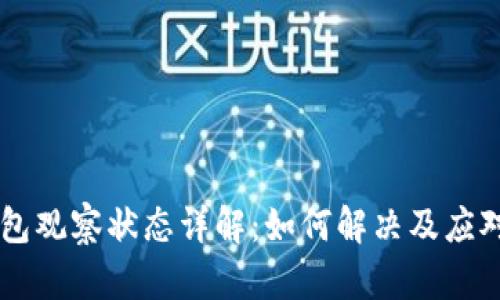 IM钱包观察状态详解：如何解决及应对策略