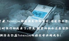 四avoidTokenim官方入口与软件下载指南/四avoidToke