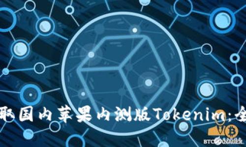 如何获取国内苹果内测版Tokenim：全面指南
