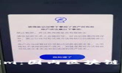 深度解析Tokenim：国内区块链科技的前沿先锋