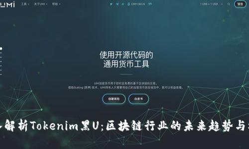 深入解析Tokenim黑U：区块链行业的未来趋势与机遇