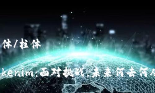 柱体/柱体

Tokenim：面对挑战，未来何去何从？