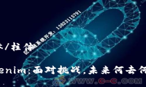 柱体/柱体

Tokenim：面对挑战，未来何去何从？