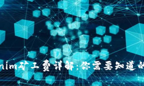 Tokenim矿工费详解：你需要知道的一切