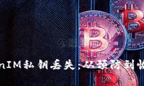 如何应对TokenIM私钥丢失：从预防到恢复的全面指南