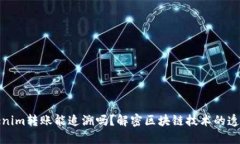 Tokenim转账能追溯吗？解密区块链技术的透明性