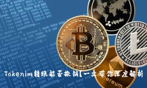 Tokenim转账能否撤销？一文带你深度解析