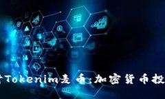 深入探讨Tokenim麦币：加密货币投资新风口