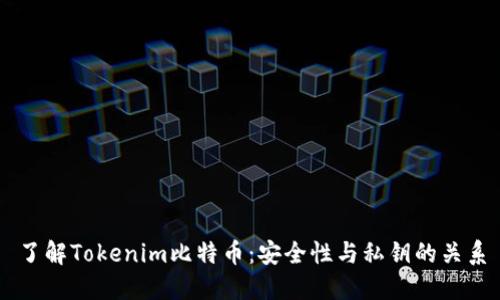了解Tokenim比特币：安全性与私钥的关系