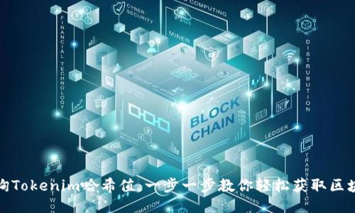 如何查询Tokenim哈希值：一步一步教你轻松获取区块链数据