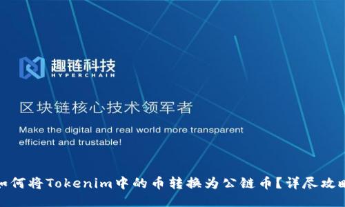 如何将Tokenim中的币转换为公链币？详尽攻略