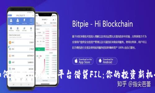 如何利用Tokenim平台借贷FIL：你的投资新机会