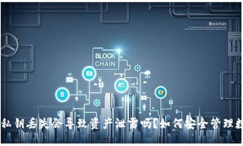 IM钱包私钥丢失会导致资产泄露吗？如何安全管理数字资产