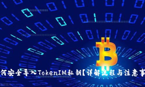 如何安全导入TokenIM私钥？详解流程与注意事项