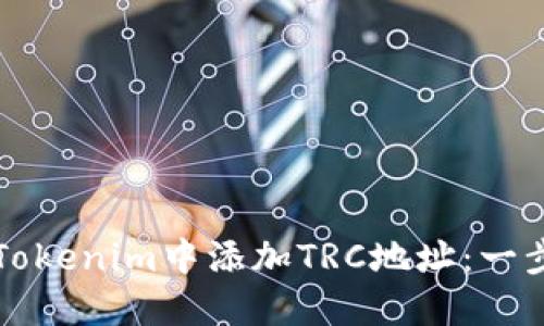 如何在Tokenim中添加TRC地址：一步步指南