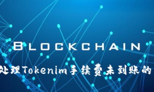 如何处理Tokenim手续费未到账的困扰？