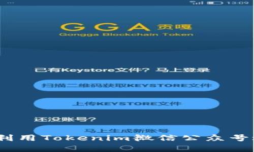 深度解析：如何高效利用Tokenim微信公众号进行区块链资讯传播