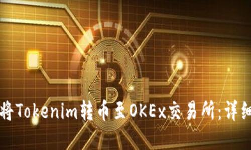 如何将Tokenim转币至OKEx交易所：详细指南