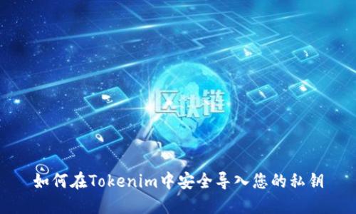 如何在Tokenim中安全导入您的私钥