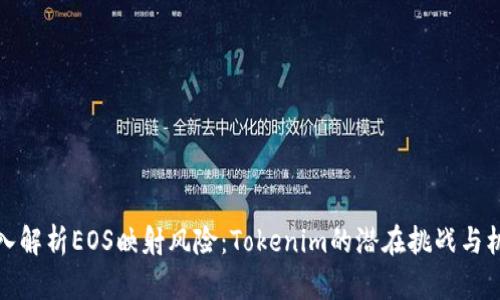深入解析EOS映射风险：Tokenim的潜在挑战与机遇