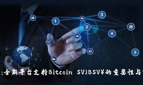 Tokenim：全新平台支持Bitcoin SV（BSV）的重要性与前景分析